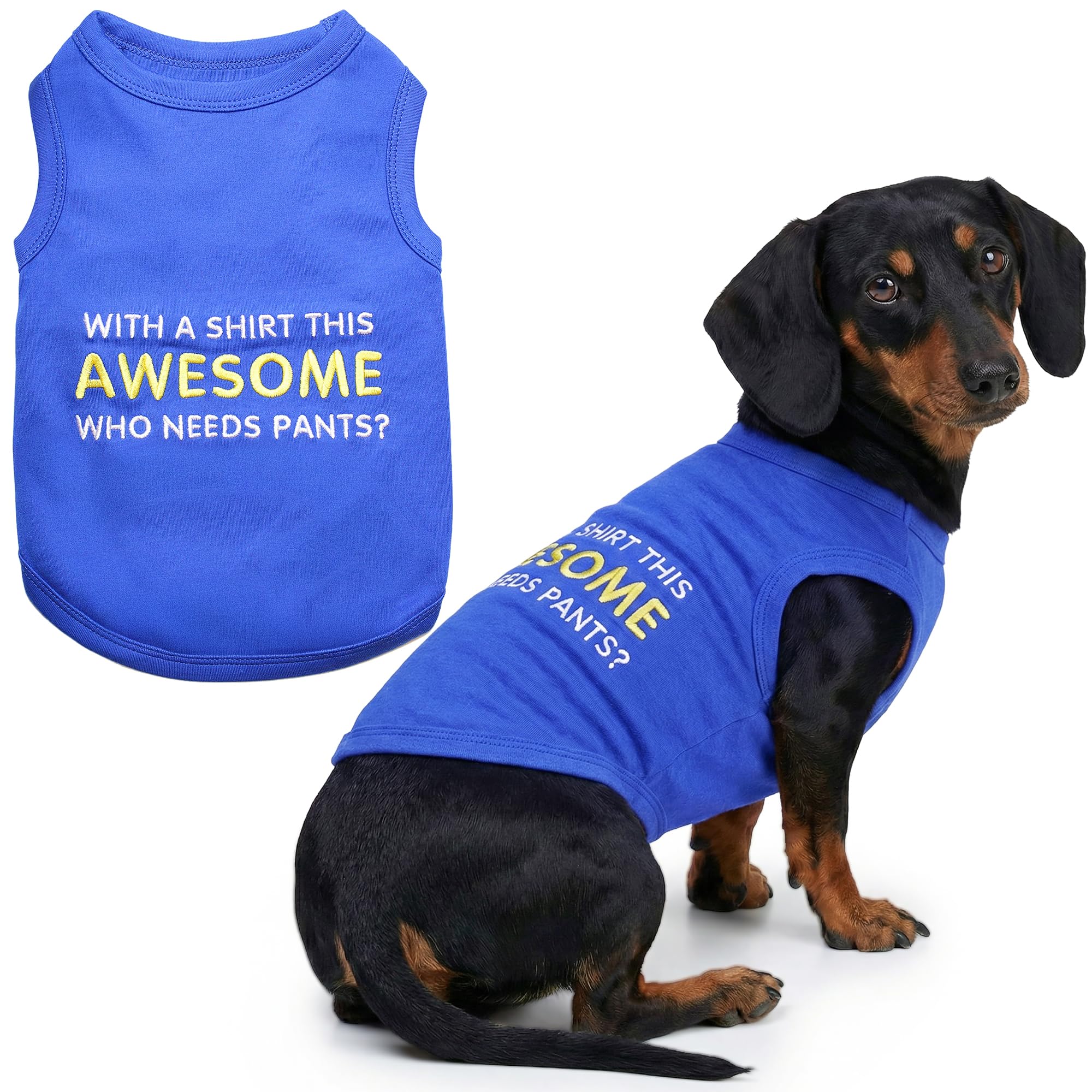 Parisian Pet Awesome Dog T-Shirt, X-Large