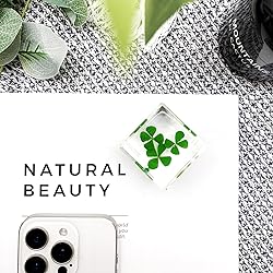 Bon Cube Real Four Leaf Clover Desk Accessory
