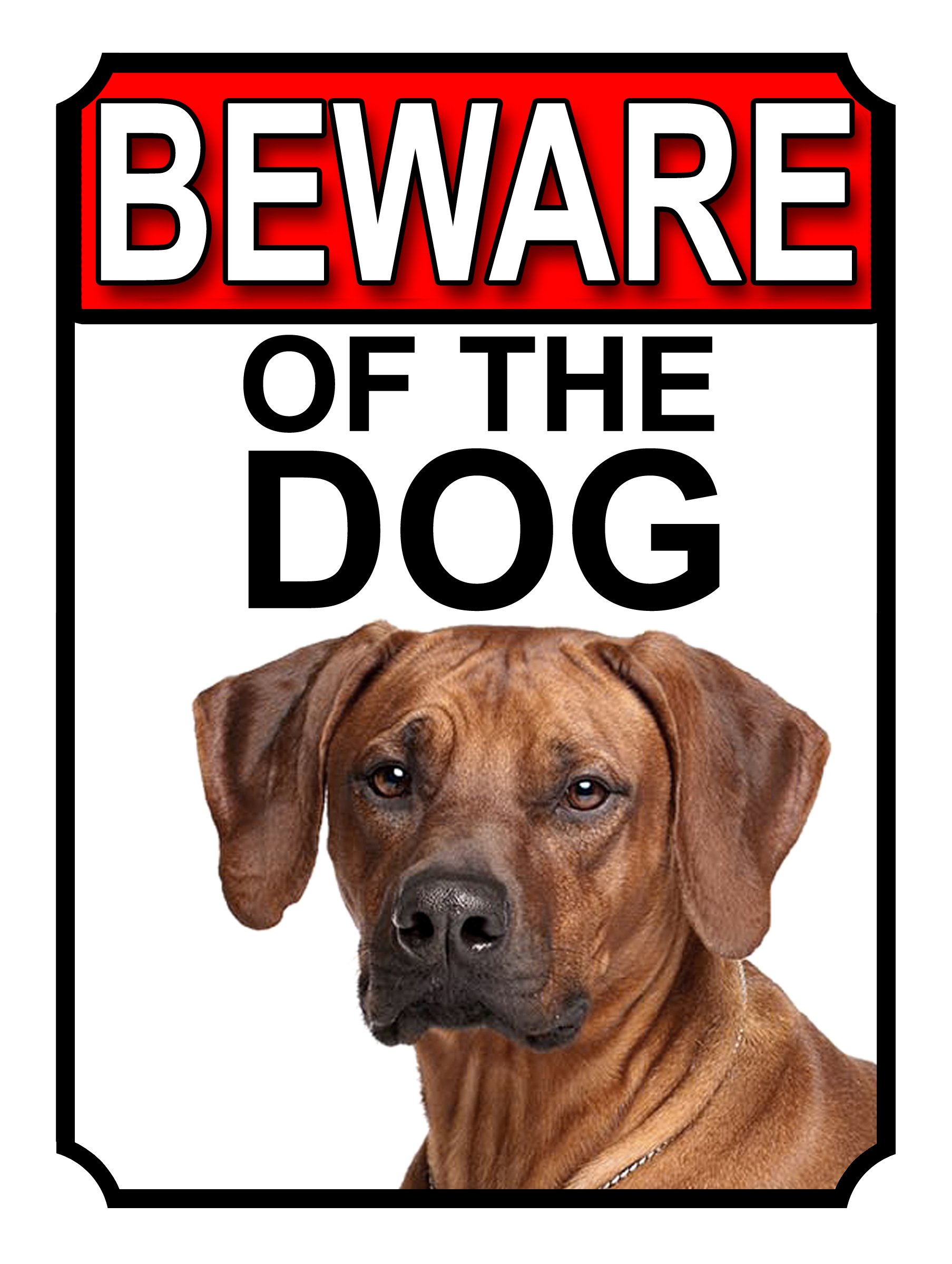 BEWARE OF THE DOG METAL GATE SIGN RHODESIAN RIDGEBACK 200MM X 150MM (1145H1)