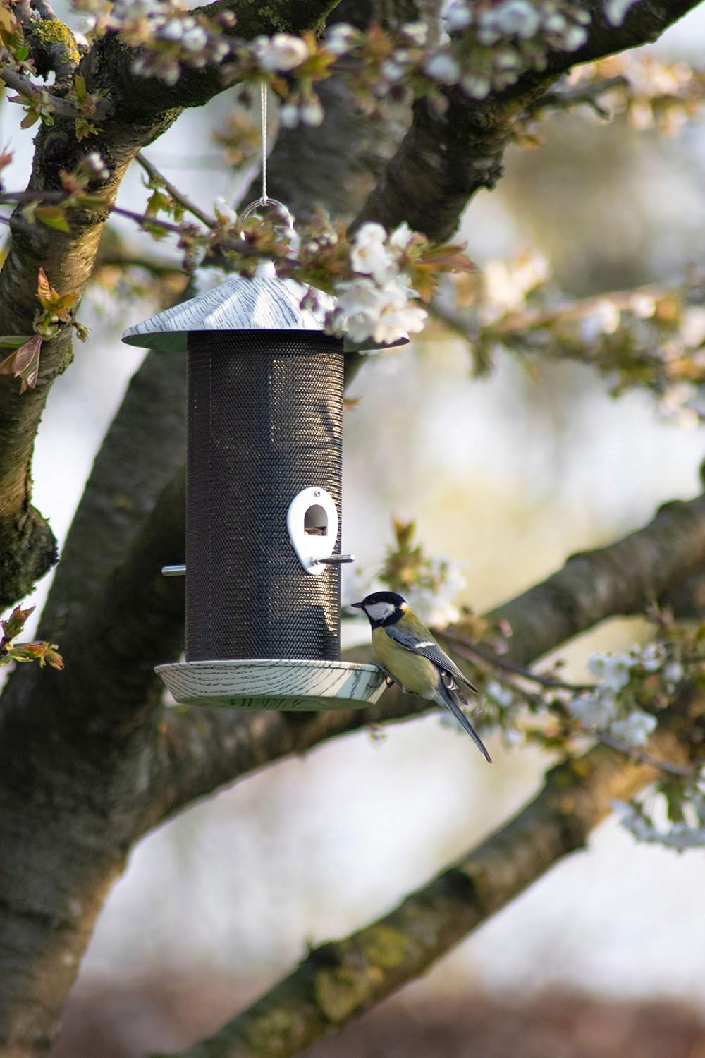 Metal Feeder "Fold" for Grain Feed and Scatter Feed, Wild Bird Hanging Feeder, 19 x 19 x 30 cm, White/Black - Image 5
