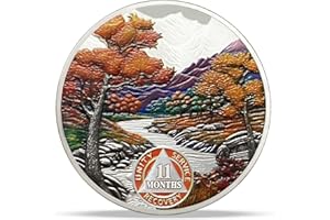 Imasoner 11 Month Sobriety Coin Gifts, Autumn Four Seasons AA Chip Medallion with Serenity Prayer, Narcotics Alcoholics Anonymous Recovery Gifts for Men & Women, Anniversary Month & Year Sobriety Coin