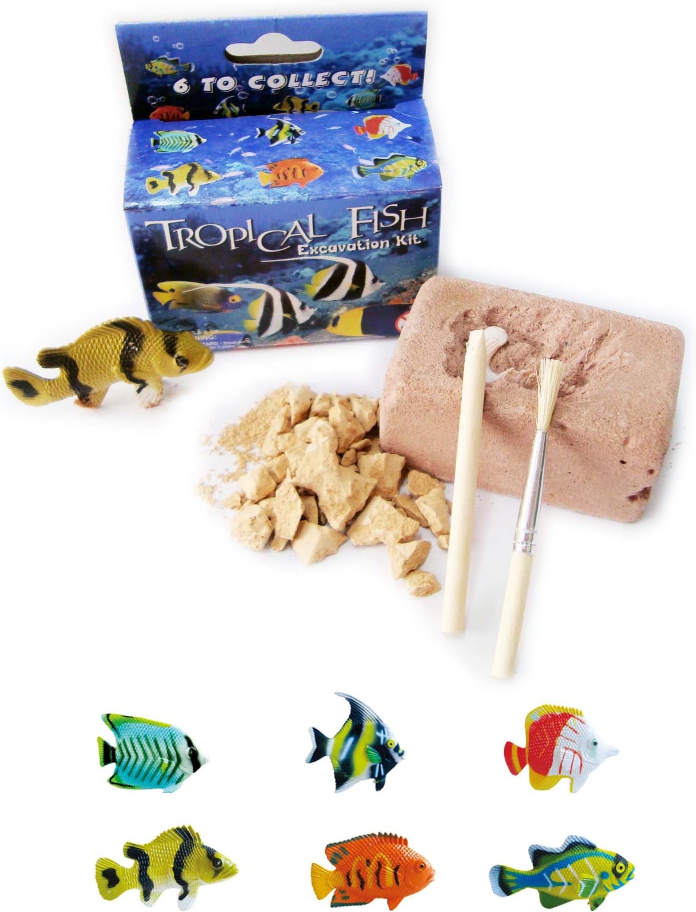 NW Active KidsTropical Fish Excavation Kit