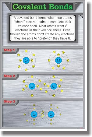 Amazon Com Covalent Bonds New Classroom Science Poster Office Products