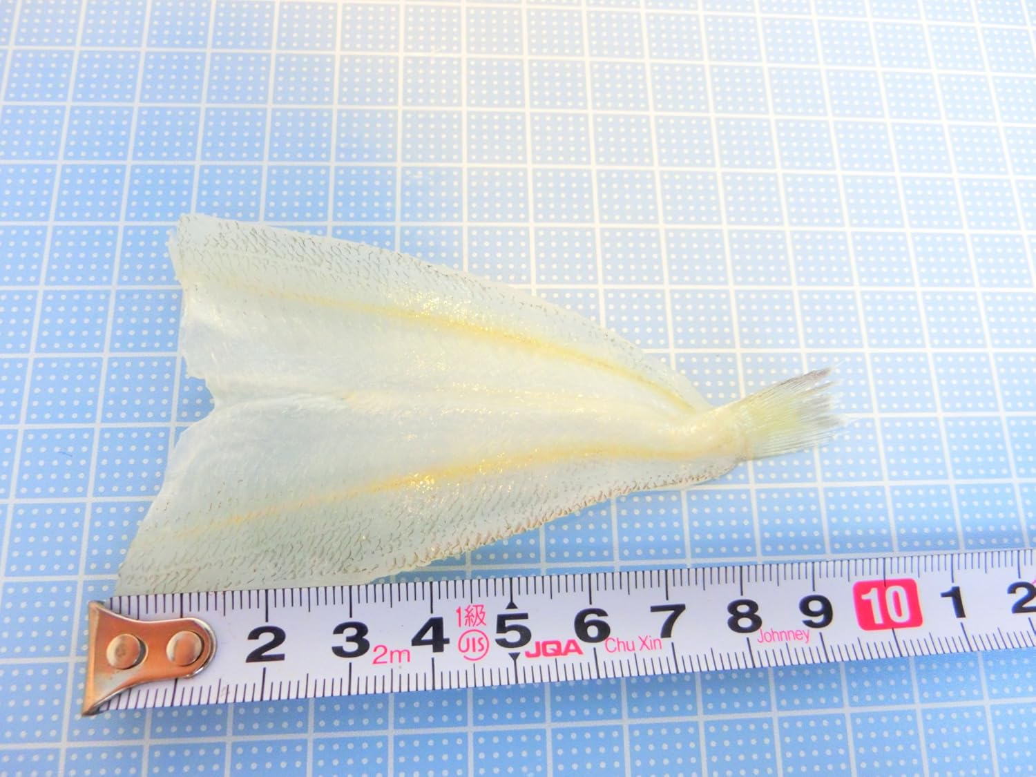 Amazon 業務用 開きキス 40尾 天ぷらやフライに最適な冷凍の業務用 鱚の開き 開きキス 40尾 シーフードマックス 鮮魚 通販