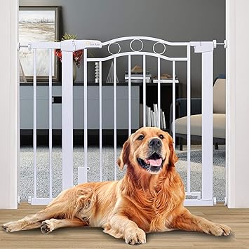 pressure dog gate
