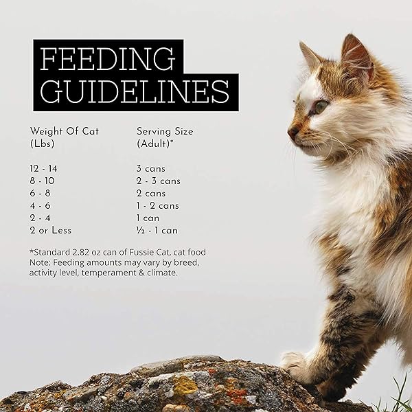 FUSSIE CAT SUPER PREMIUM CHICKEN & SWEET POTATO FORMULA IN GRAVY GRAIN-FREE WET CAT FOOD 2.82OZ, CASE OF 24