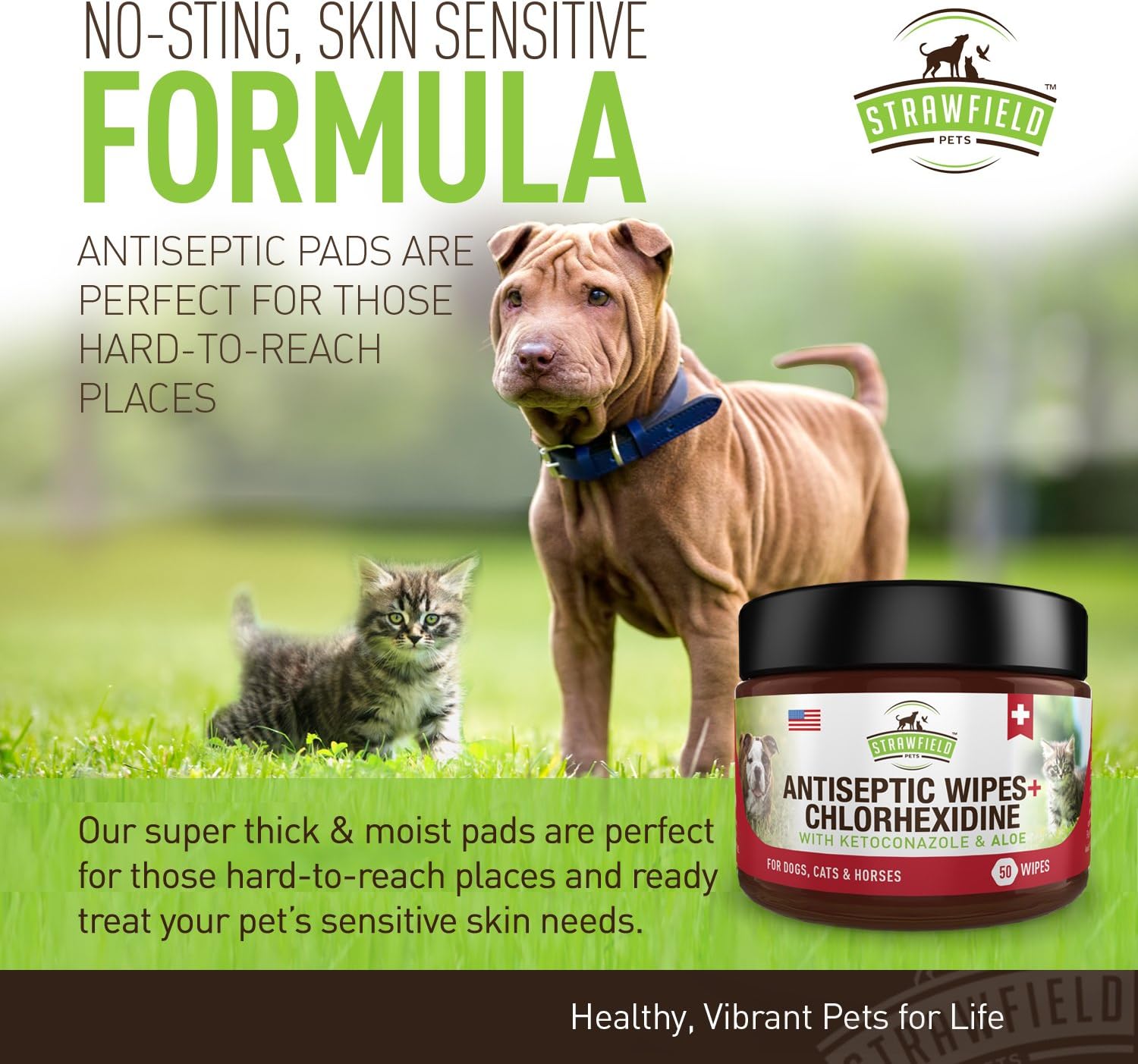 Chlorhexidine Wipes for Dogs, Cats - Ketoconazole, Aloe - 50 Pads - Cat, Dog Hot Spot Treatment, Mange, Ringworm, Yeast Infection, Allergy Itch Relief, Acne, Deodorizer Antibacterial Antifungal, USA : Pet Supplies