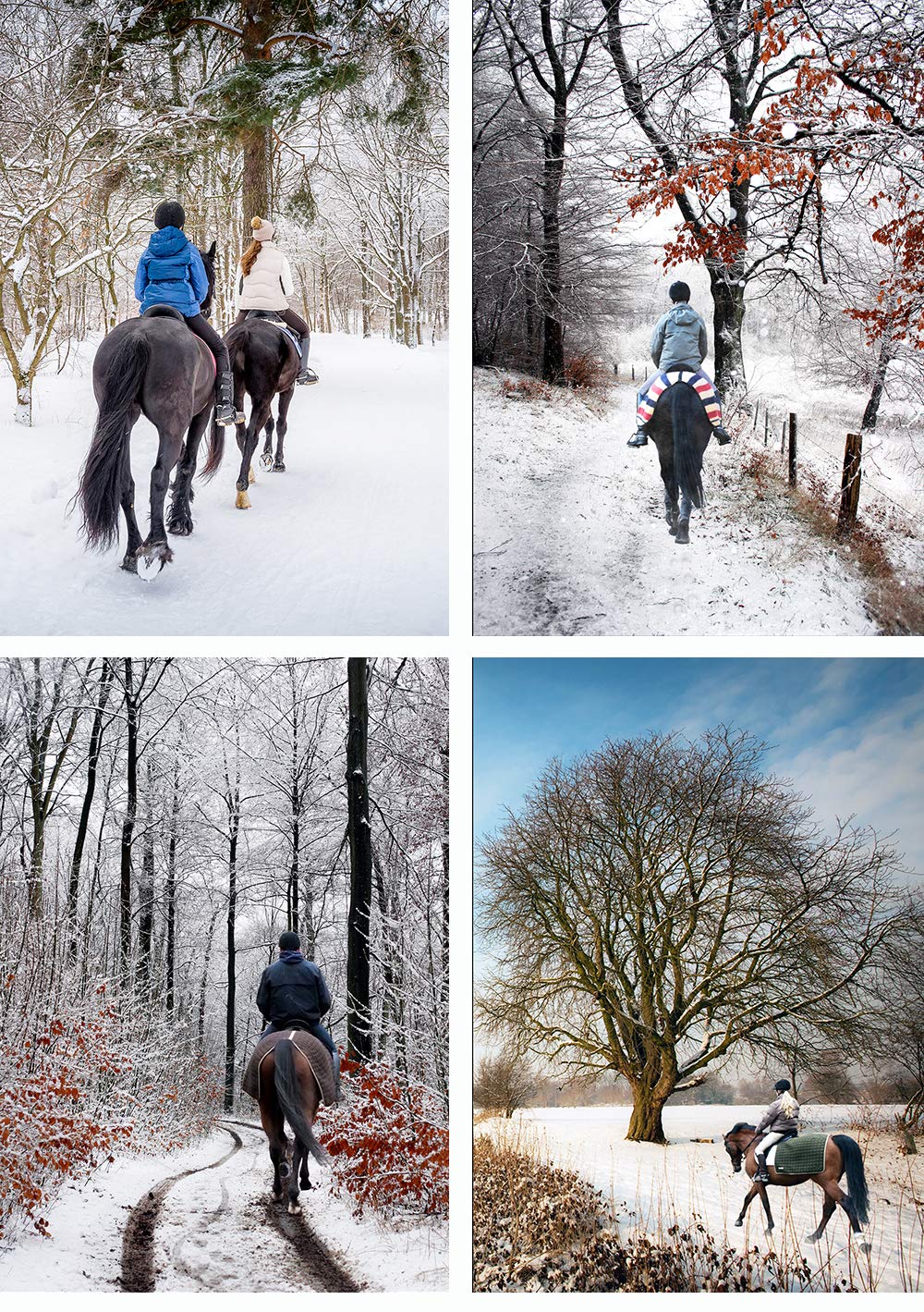 Equestrian Christmas Greeting Cards, Pack of 12