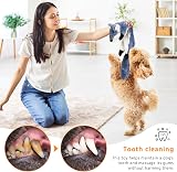 Newthinking No Stuffing Squeaky Dog Toys 6 Pack Long Plush Squeakers view 4