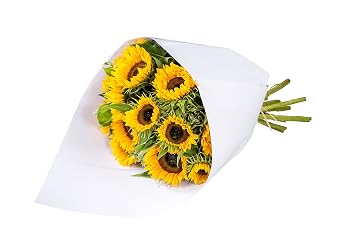Monceau Fleurs Bouquet Esprit Solaire Amazonfr Jardin