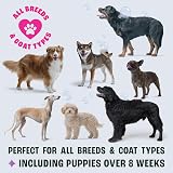 Dirtbusters Pet Pro Flea Shampoo for Dogs 2L Cedarwood Oil Natural Formula view 7