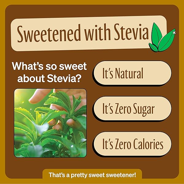 ZEVIA ZERO CALORIE SODA, CREAMY ROOT BEER, 12 OUNCE CAN