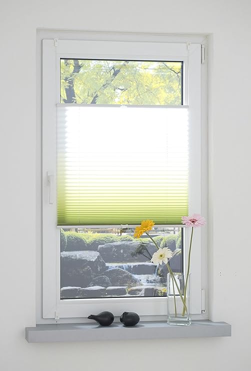 Liedeco® Klemmfix Plissee Farbverlauf verspannt mit Klemmträger/Breite x Höhe: 100x130 cm/Farbe: Grün/Plissee farbig/lichtdur
