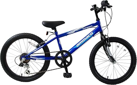 kids bike age 6