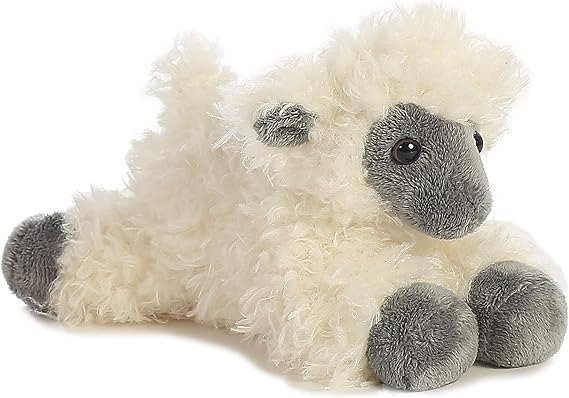black sheep teddy
