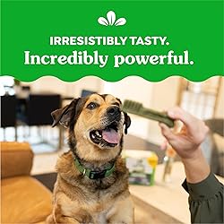 Greenies Original Large Dental Dog Treats, (4) 12