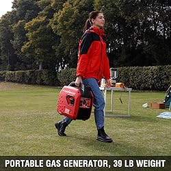 PowerSmart 2500-Watt Super Quiet Portable Inverter