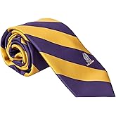 Desert Cactus University at Albany Neck Tie UAlbany Great Danes 100% Polyester Necktie with Logo, Officially Licensed (Style A)