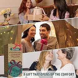 QUTOOL Lumbar Support Pillow with DIY Gift Box