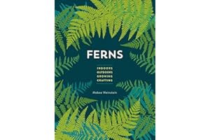 Ferns