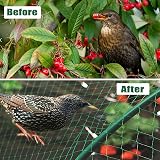 MAIYADUO Garden Netting 4x12M Birds Fruit Veg Pond Mesh Fence Green view 7
