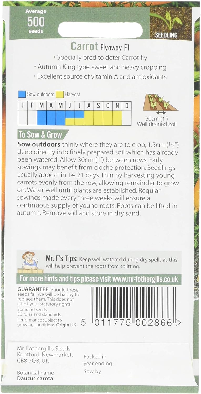Mr Fothergill's 22481 Vegetable Seeds, Carrot Flyaway F1, Orange - Image 3