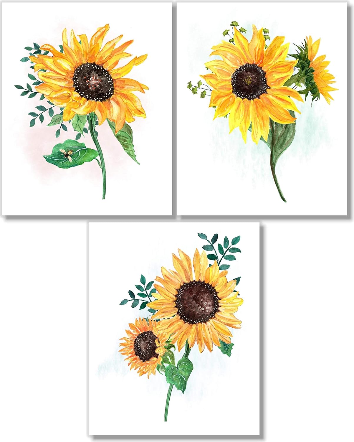 Amazon Com Sunflower Wall Art Botanical Prints Wall Decor