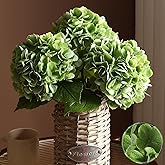 FLORRALIA 3Pcs Hydrangea Artificial Flowers, 22.44" Real Touch Latex Faux Hydrangea with Long Stems & Leaves for Home Office Decor or Wedding, Party, Centerpieces, Floral Arrangements (Green)