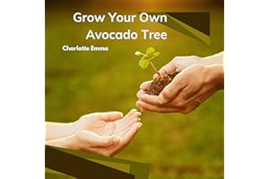 Grow Your Own Avocado Tree: Mastering Seed Sprouting Indoor Containers and Backyard Harvests