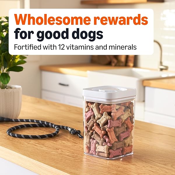 AMAZON BASICS CRUNCHY DOG BISCUITS MULTI FLAVOR DOG TREATS 5 LB. BOX