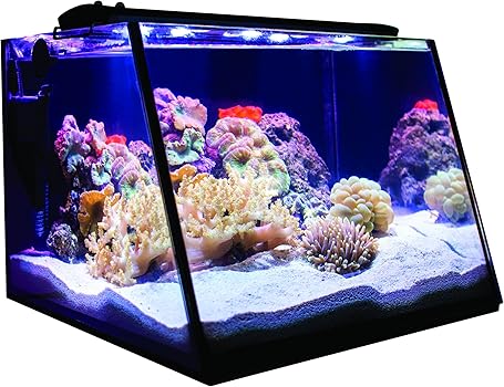 Lifegard Aquatics 7-Gallon Nano Reef Tank