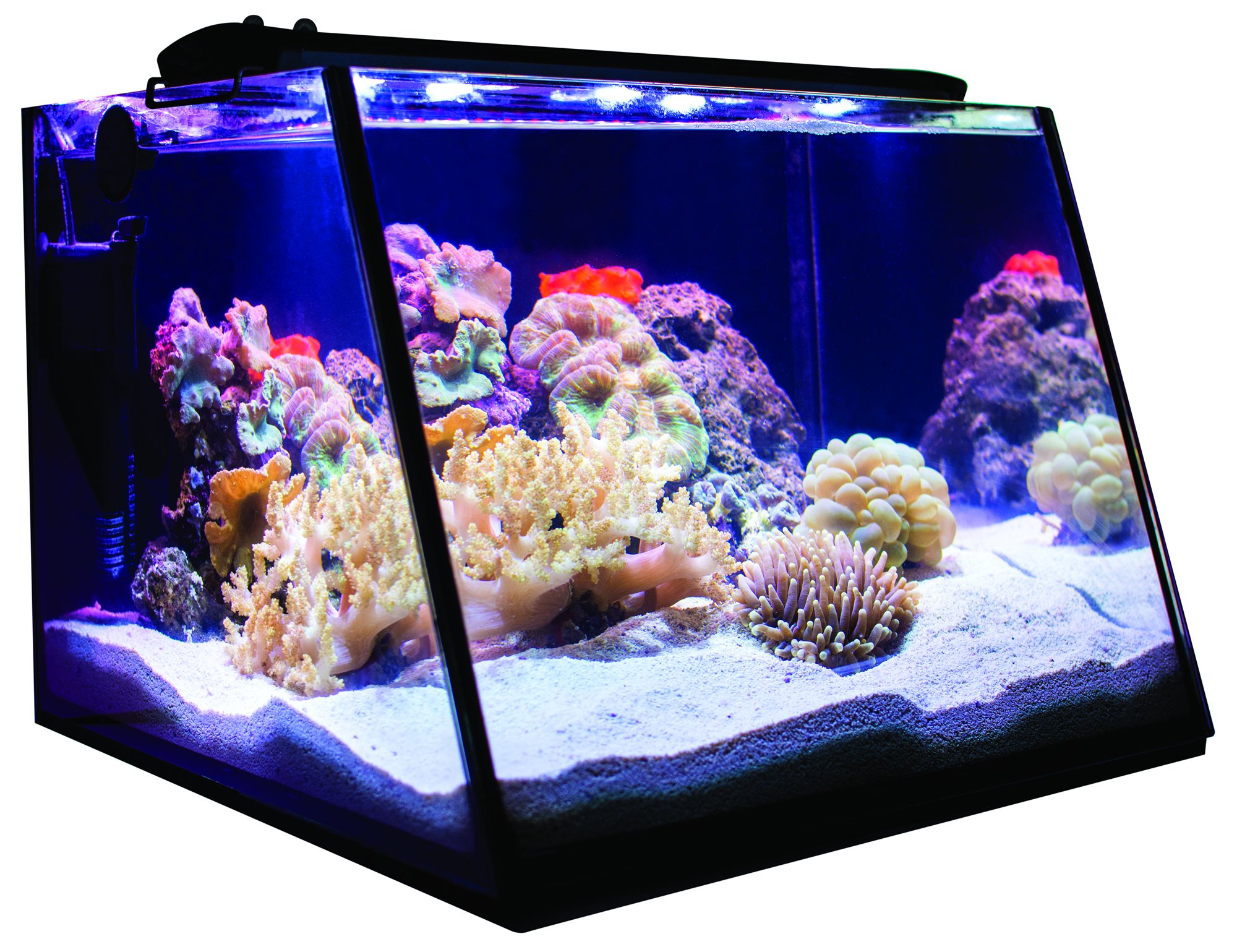 Lifegard Aquatics FullView 7 Gallon Aquarium with LED Light, Heater