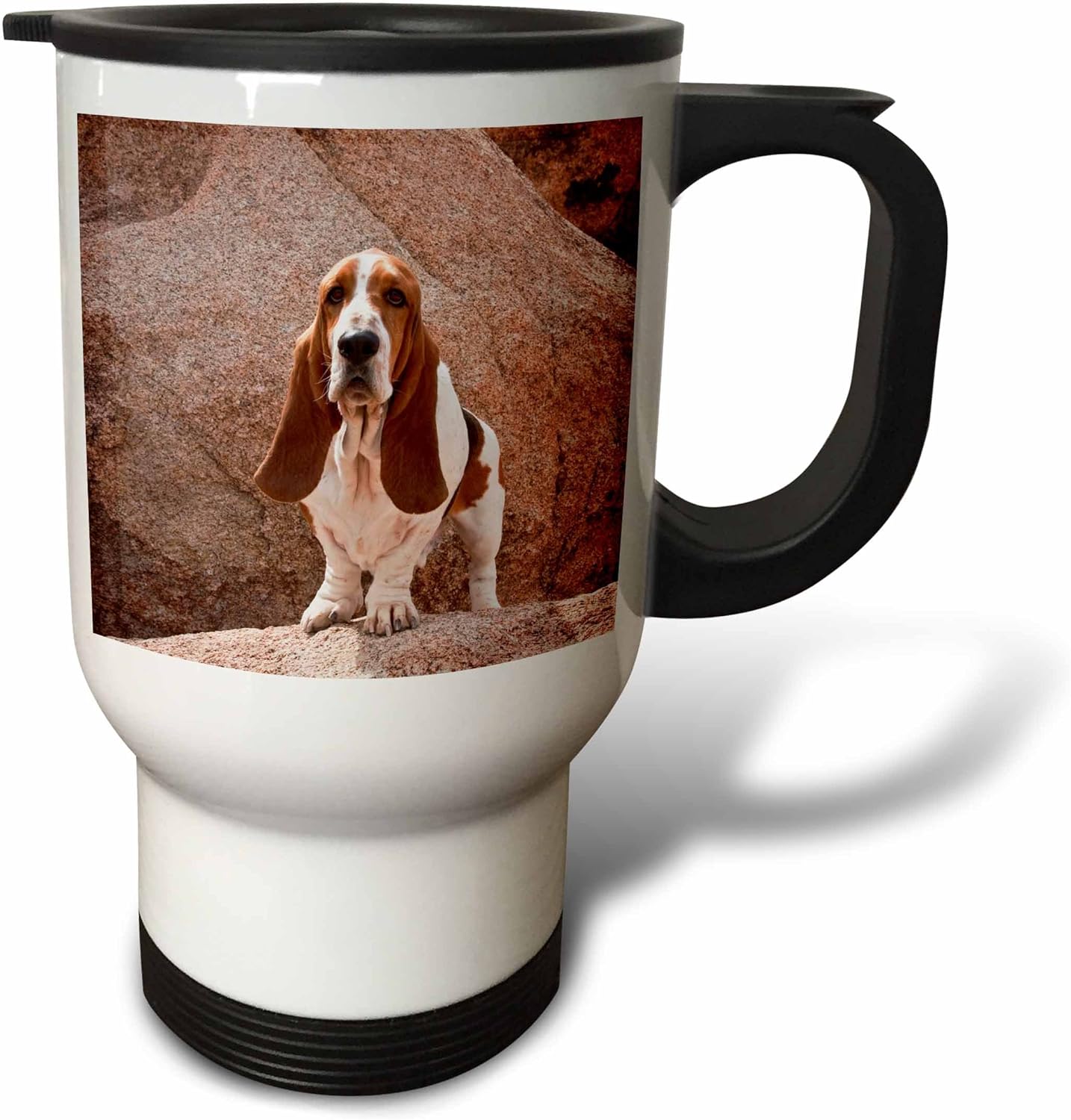 ozark basset hounds