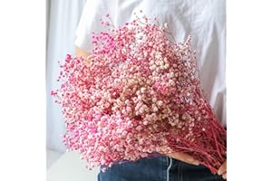 beerfingo Dried-Flowers-Babys-Breath-Bouquet-17.2 inch 2500+ Flowers, Natural Gypsophila Branches for Home Decor, Wedding, Table Decor, DIY Wreath Floral, Dry Flowers Bulk for Vase (Pink)
