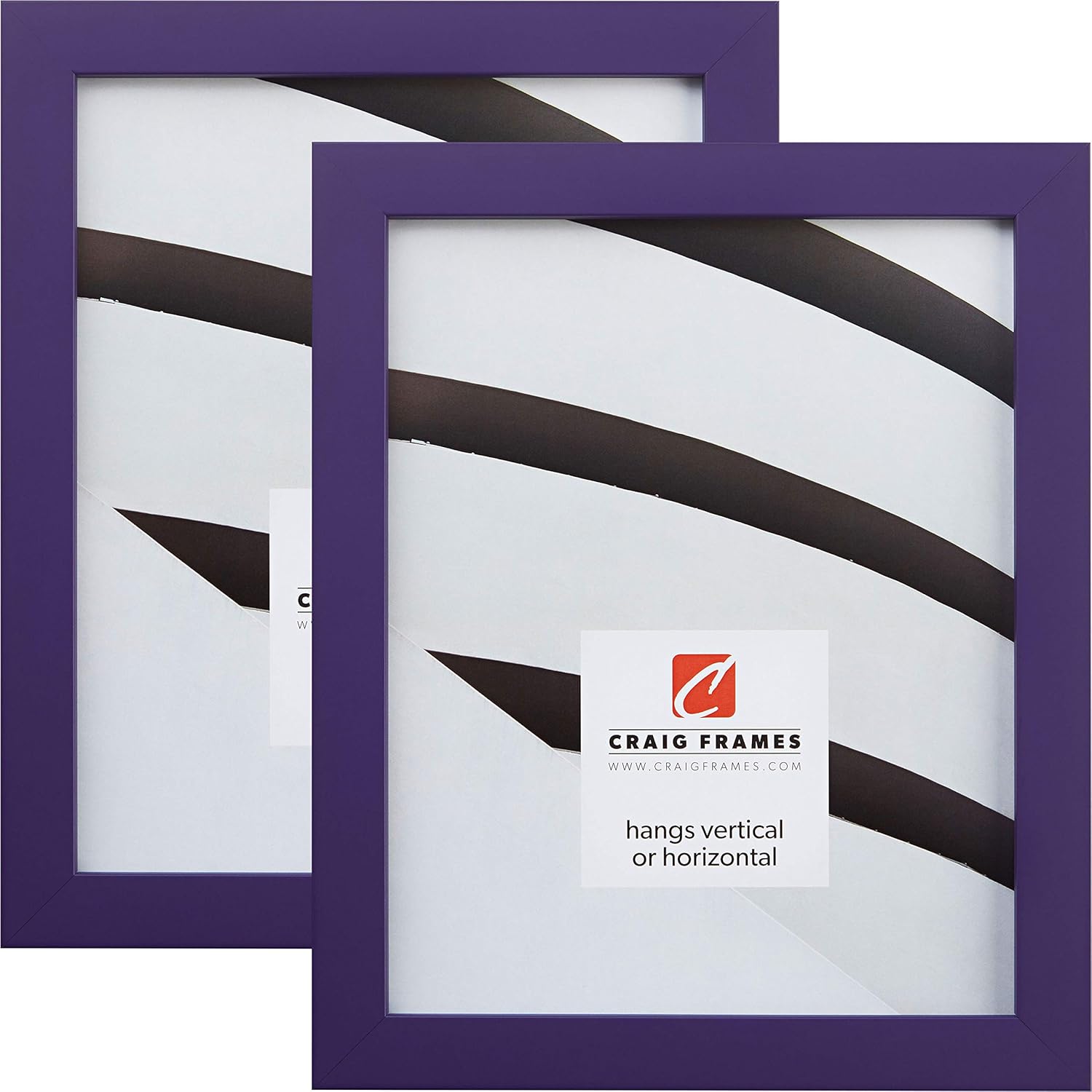 Craig Frames Confetti, 8.5 x 11 Inch Picture Frame, Modern Purple, Set of 2 Craig Frames Confetti, 8.5 x 11 Inch Picture Frame, Modern Purple, Set of 2