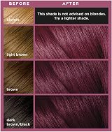 L'Oréal Colorista Permanent Gel Hair Dye Violet 3x Shine At-Home Colour view 2