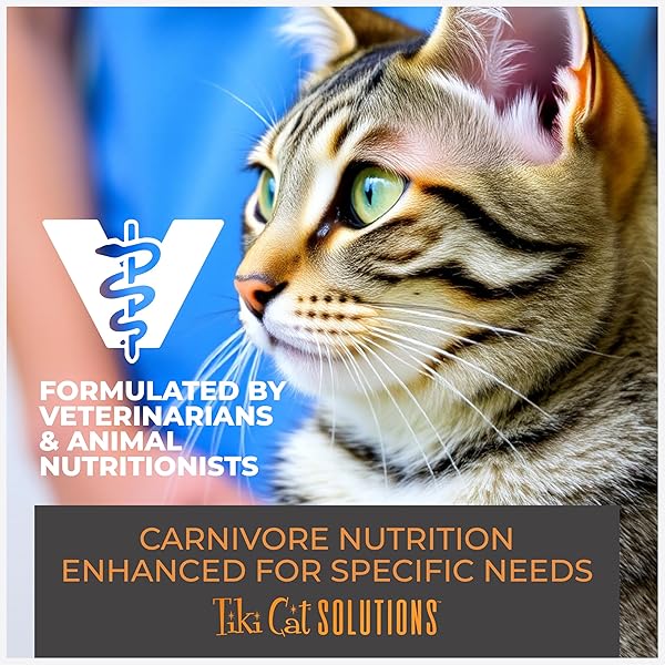 TIKI CAT SOLUTIONS MOUSSE WET CAT FOOD, DENTAL, CHICKEN RECIPE IN BROTH, 2.4 OZ. POUCH