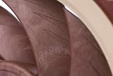 Noctua NF-A12x25 PWM 120mm Premium Quiet Fan 2000 RPM Brown view 5