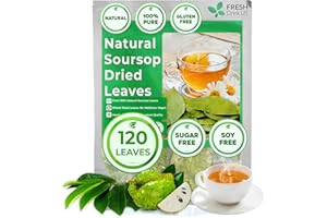 FRESHDRINKUS 120+ Premium Soursop Graviola Dried Leaves, 120-130 Natural Leaves, Whole Soursop Leaves, Wildcrafted, Graviola, Soursop, Hoja Guanabana, Soursop Loose Leaf Herbal Tea, No Gluten, Vegan