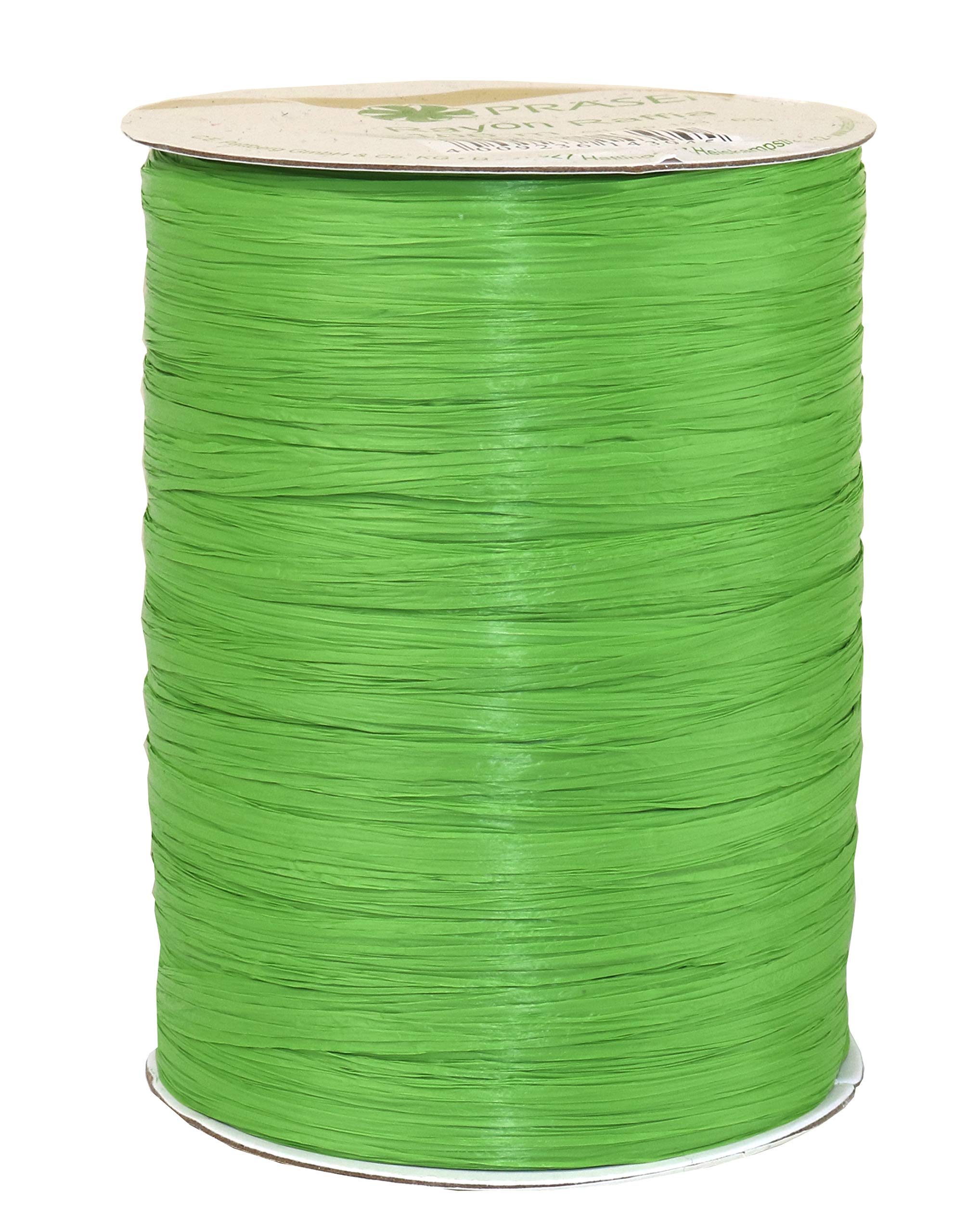 C.E. Pattberg Rayon Raffia apple green, 109 Yards Wrapping Presents, Ribbon for Gifts, Accessories for Decorating and Handicrafts, for Every Occasion, 100 meter spool