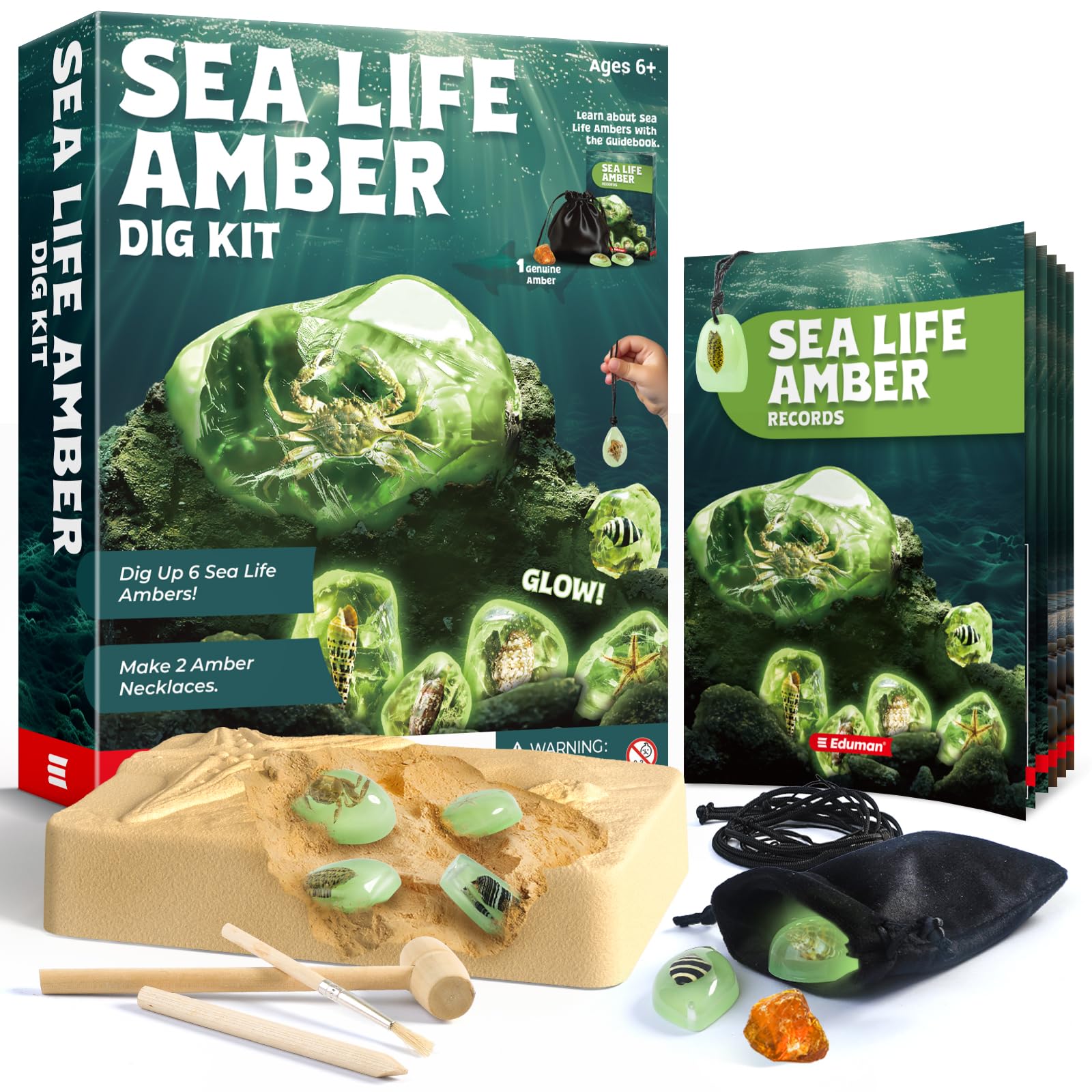 Photo 1 of EDUMAN Amber Dig Kit-6 Artificial Sea Life Resin Specimens, Glow in The Dark Oceanlife Fossil Excavation Set, STEM Inspired Educational Toy for Kids Ages 6-12, for Boys & Girls