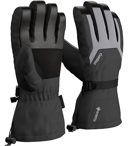 Amazon.com : Dakine Team Phoenix Gore-Tex Glove - Sammy Carlson