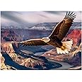 Jigsaw Puzzles for Adults 500 Pieces, Eagle Puzzles for Kids Teens Elderly Interlock Perfectly Letter on Back No Dust, Home Decor Family Fun Puzzle Games Toys Gift for Men Women Seniors (21"X15")