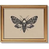 Gold Framed Death's Head Moth Canvas Wall Art, Gothic Skull Insect Poster Painting Print Picture, Dark Academia Vintage Entomology Artwork Wall Decor for Bedroom Living Room Bathroom 8x10 Inch