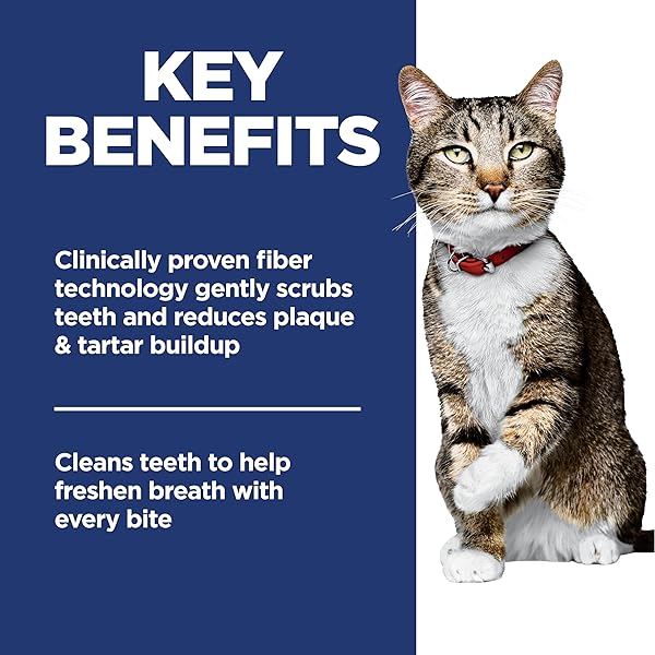 HILL’S SCIENCE DIET ORAL CARE, ADULT 1-6, PLAQUE & TARTAR BUILDUP SUPPORT, DRY CAT FOOD, CHICKEN RECIPE, 7 LB BAG