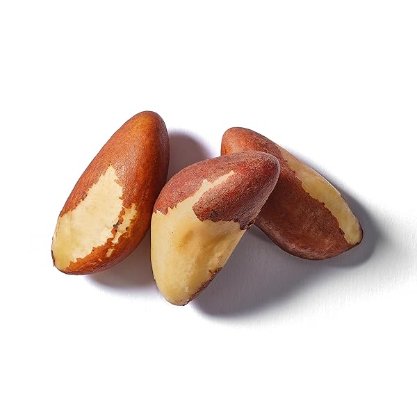 YUPIK RAW BRAZIL NUTS, 8 OZ, GLUTEN-FREE, KOSHER, SHELLED, UNSALTED, UNROASTED, RAW NUTS, NUTRITIOUS HEALTHY SNACKS, RICH IN SELENIUM