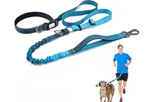 JETOG Heavy Duty Hands Free Dog Leash, 4-6 FT Reflective Adjustable Waist Dog Leash Belt with Padded Handles, Shock Absorbing Bungee and Car Seat Belt for Large Medium Dogs (Gradient Aegean, L)