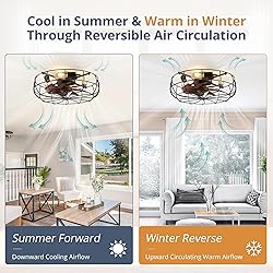 LEDIARY 20" Caged Ceiling Fans with Lights and