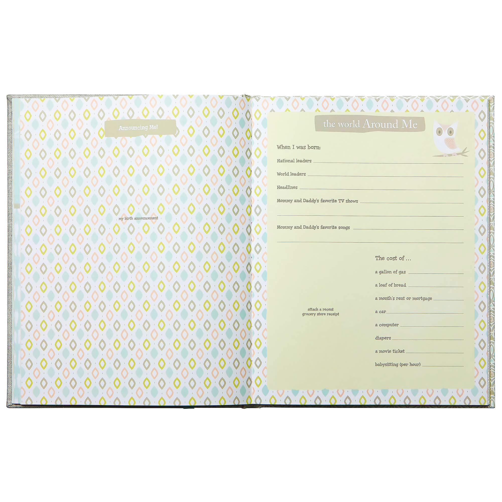 C.R. Gibson B2-15559 Nature Themed Baby's First Five Years Memory Book, 9'' W x 11'' H with 64 Pages, Multicolor