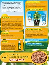 Westland Potting Compost Mix with Seramis, 8 Litre, Brown view 2
